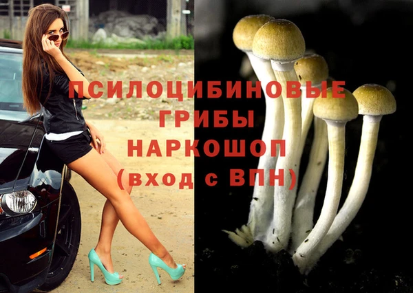 дурь Нязепетровск