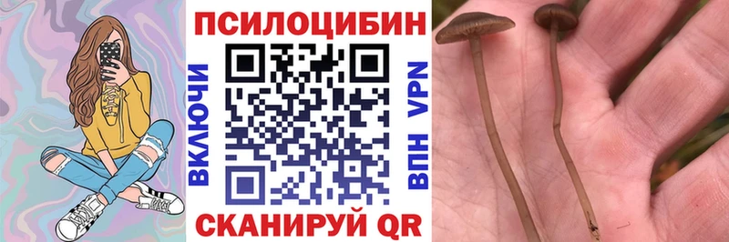 Псилоцибиновые грибы мухоморы  Тарко-Сале 